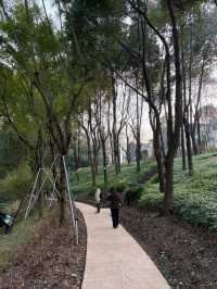成都地鐵直達的絕美城市公園——紅石公園