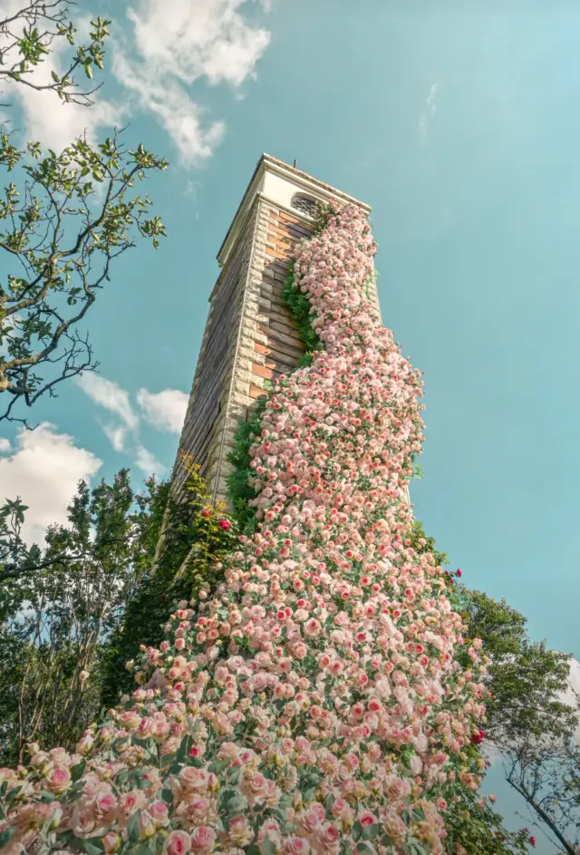 Take Your Love to Kunming: A Warm and Wonderful Spring Trip