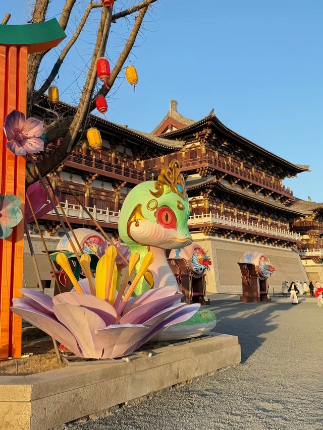 洛陽‖不愧是九州池隨手就是大片