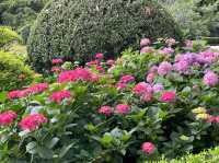 市內公園賞花小攻略