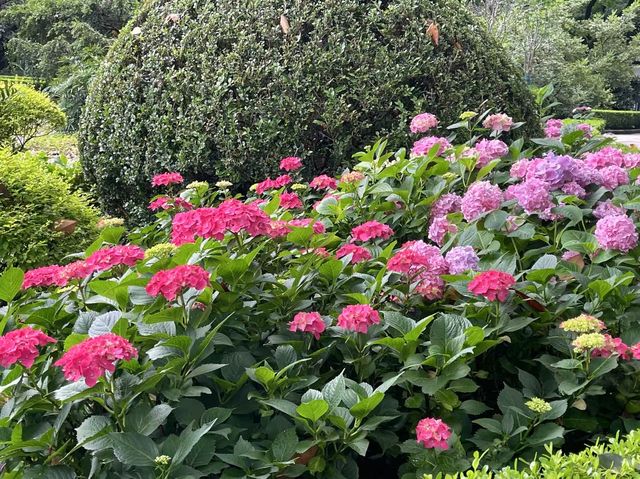 市內公園賞花小攻略