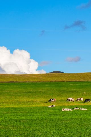 呼倫貝爾6天5晚｜草原、森林、濕地全體驗 