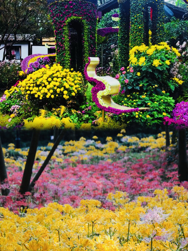 貴州植物園，簡直不要太完美，寶子們我愛了這個植物園，太美了！