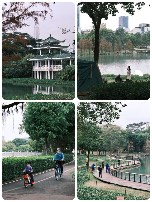 深圳地鐵1號線｜8個站可達我的私藏打卡地