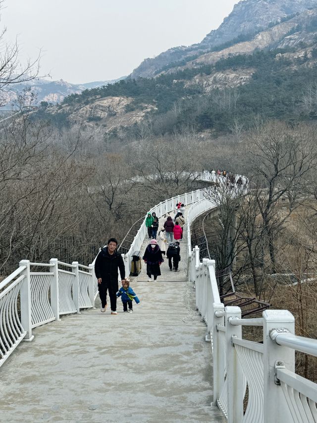 黃島野生動物園 | 與動物邂逅的奇妙之旅