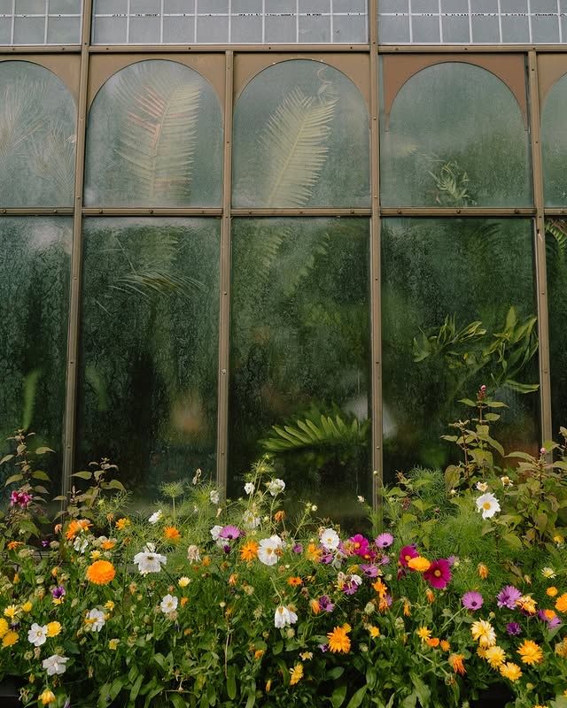 瑞典隆德植物園：在綠意盎然的自然中，放鬆心靈 