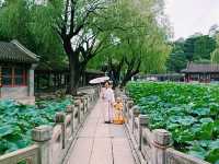 Exploring Majestic Shijiazhuang: Travel Itinerary