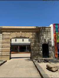 Tasmanian Museum and Art Gallery