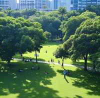 海口萬綠園 | 都市中的綠色氧吧