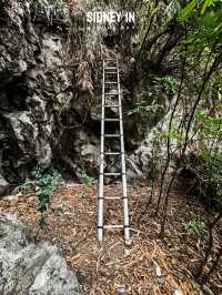 🇻🇳下龍灣顫抖登頂❗️人生封面在此🏞
