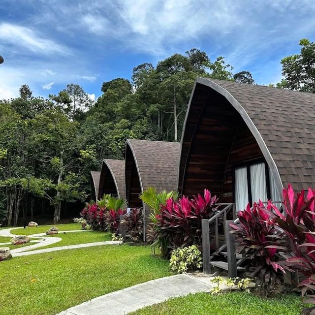 撲面而來嘅清新空氣，預示住一場自然盛宴