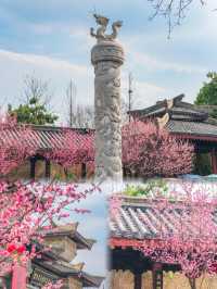 安徽合肥丨3-4月淡季來真的很香，人少景美
