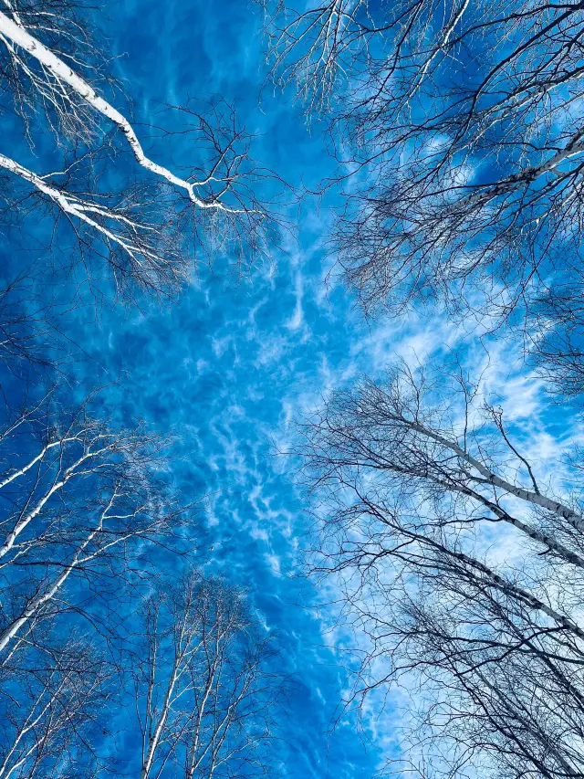 A 3-Day Getaway to Mohe: An Unforgettable Adventure