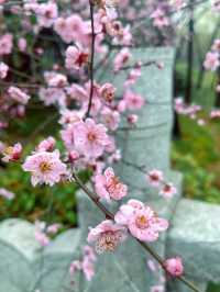 金匱公園 | 無錫一日遊寶藏打卡地，錯過血虧！