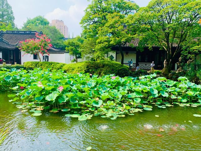 青浦曲水園親子探幽記｜古典園林裡的童趣時光🪁