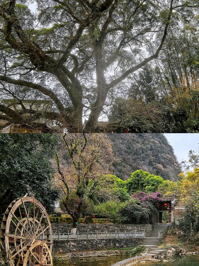 一定要去感受這座千年古城—黃姚古鎮！