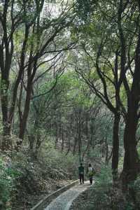 路遙知「虎」力，「捷」伴來 Hiking