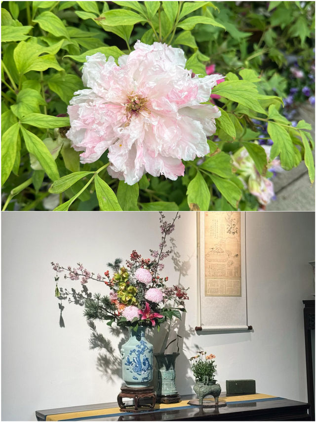 無錫受罪已回 真的不建議3月去