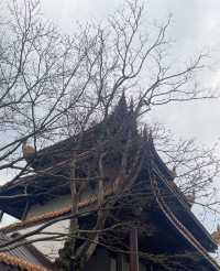 城鐵出行日-開福寺-天心閣
