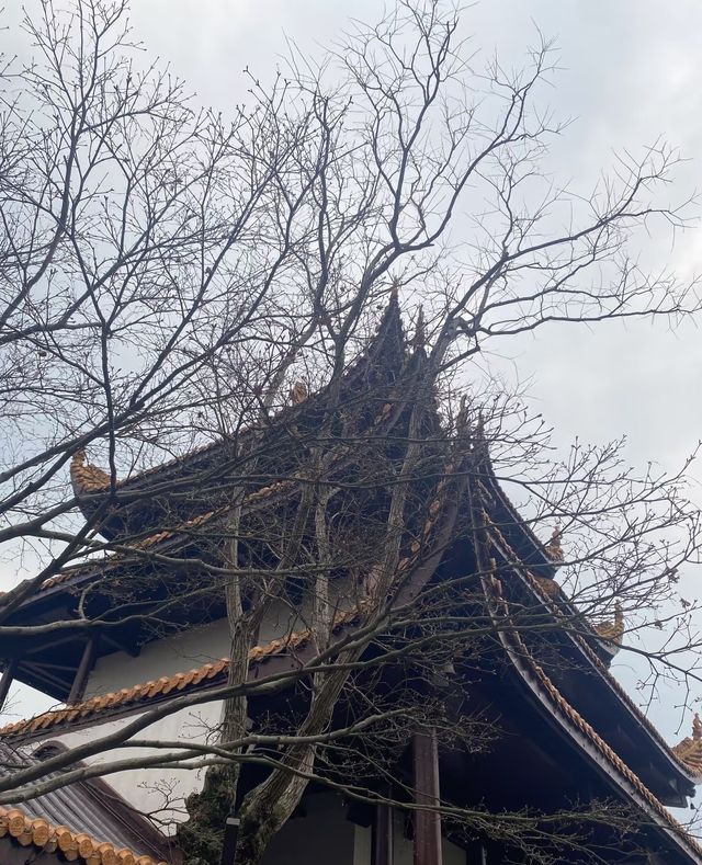 城鐵出行日-開福寺-天心閣