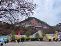 東華寺祈福·遇見繁花