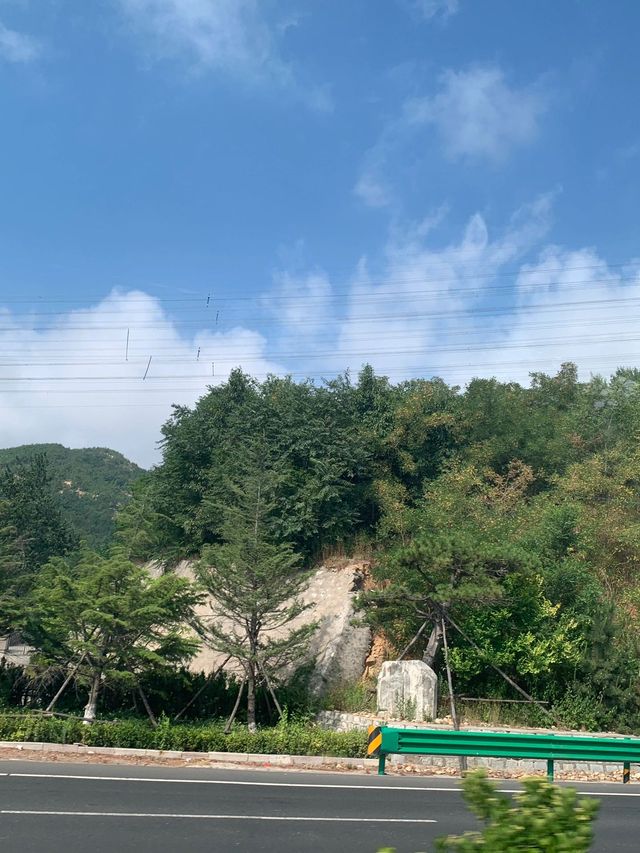 青島-威海-煙台清明帶娃出遊攻略親子遊必備