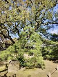 禪意幽深：漫步萬松山承天寺的靜謐時光