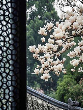 Hangzhou in 1h! A Real-life "Wizard of Oz" Adventure with Kids