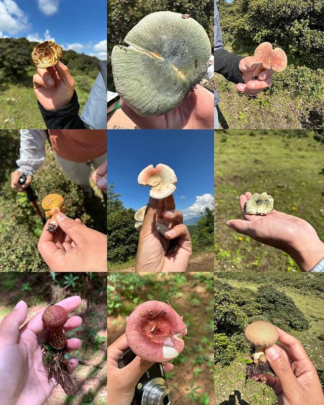 馬其頓小眾秘境攻略冷門玩法大公開！