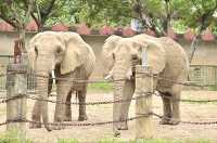 南寧day ｜動物園遊記