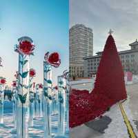 哈爾濱冰雕玫瑰展：當冰雪邂逅浪漫，赴一場冬日童話之約