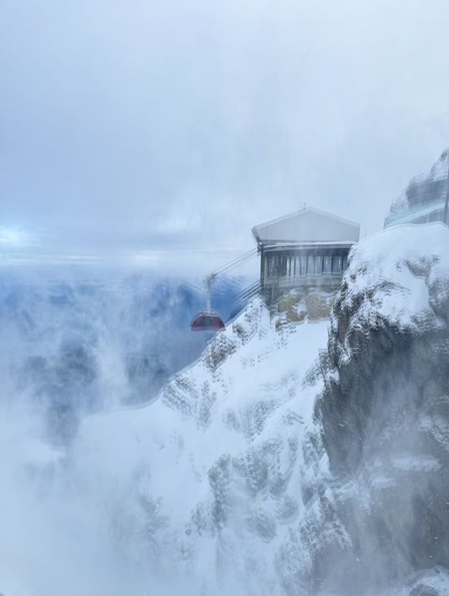 雪色格林德瓦：阿爾卑斯山下的夢幻冬韻