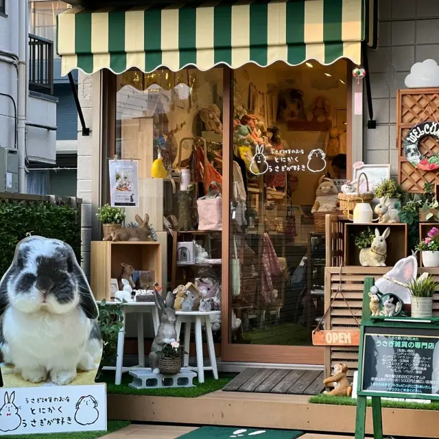 A Collection of Super Fun General Stores in Kichijoji
