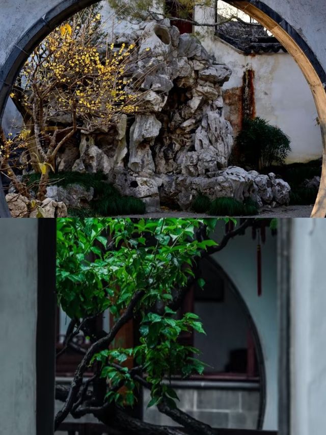 蘇州網師園 | 小眾寶藏園林，邂逅江南詩意