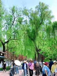 杭州春日必打卡！小隱園桃花秘境 邂逅一場粉色浪漫