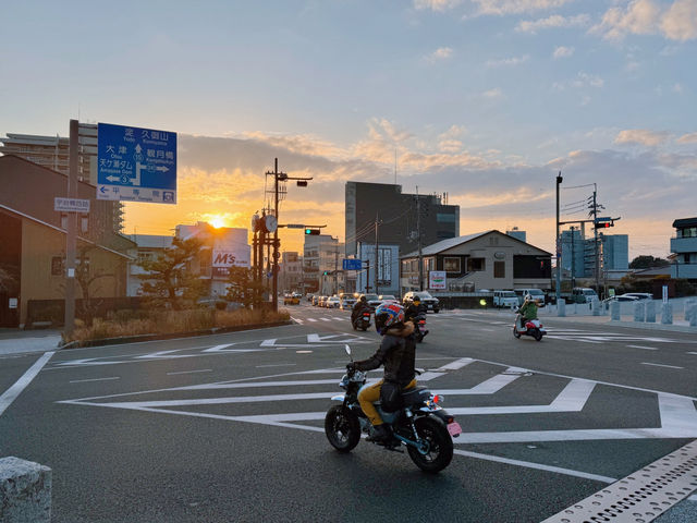 京都私藏｜平等院表參道日落漫遊🌇鳳凰堂夜遊+抹茶巷超全攻略
