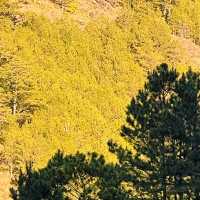 Refreshing Views in Atok, Benguet