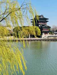 鳳城河畔尋古韻：一場跨越千年的水城之旅