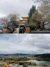 我的香格里拉日記|永不缺信仰的天堂