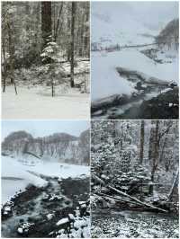 長白山玩咗3日，我嘅消費觀崩塌咗