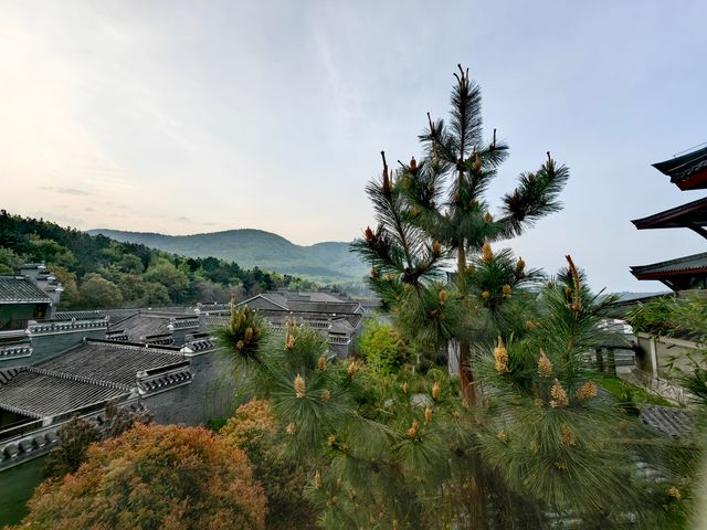 人生低谷期必去的療癒之旅