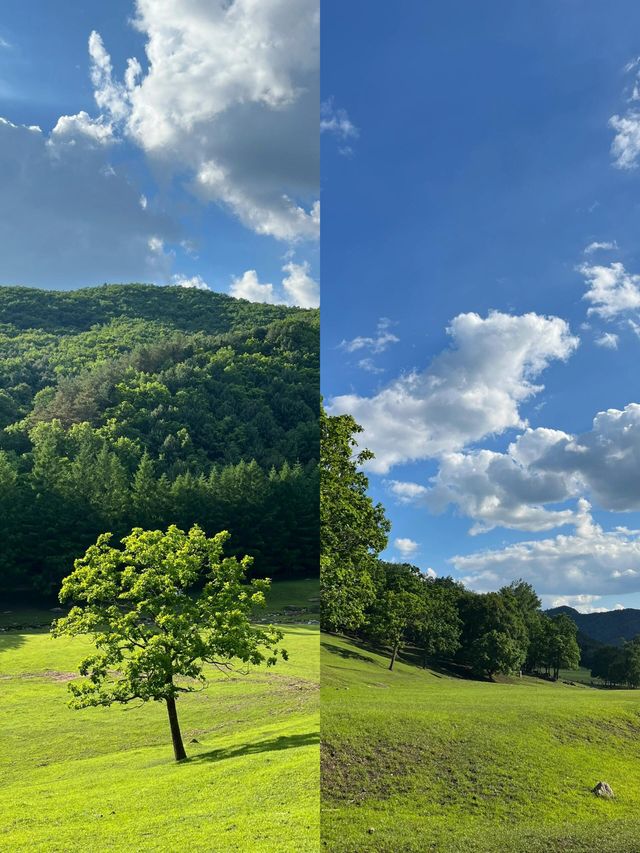 伊春～一個唔需要濾鏡嘅地方