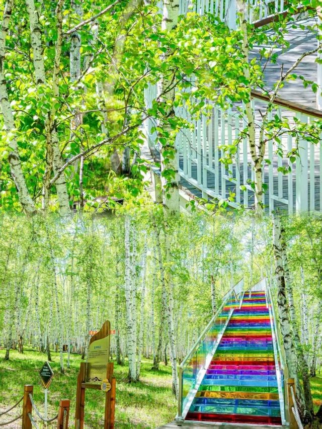 呼倫貝爾|赴一場夏日曠野之約