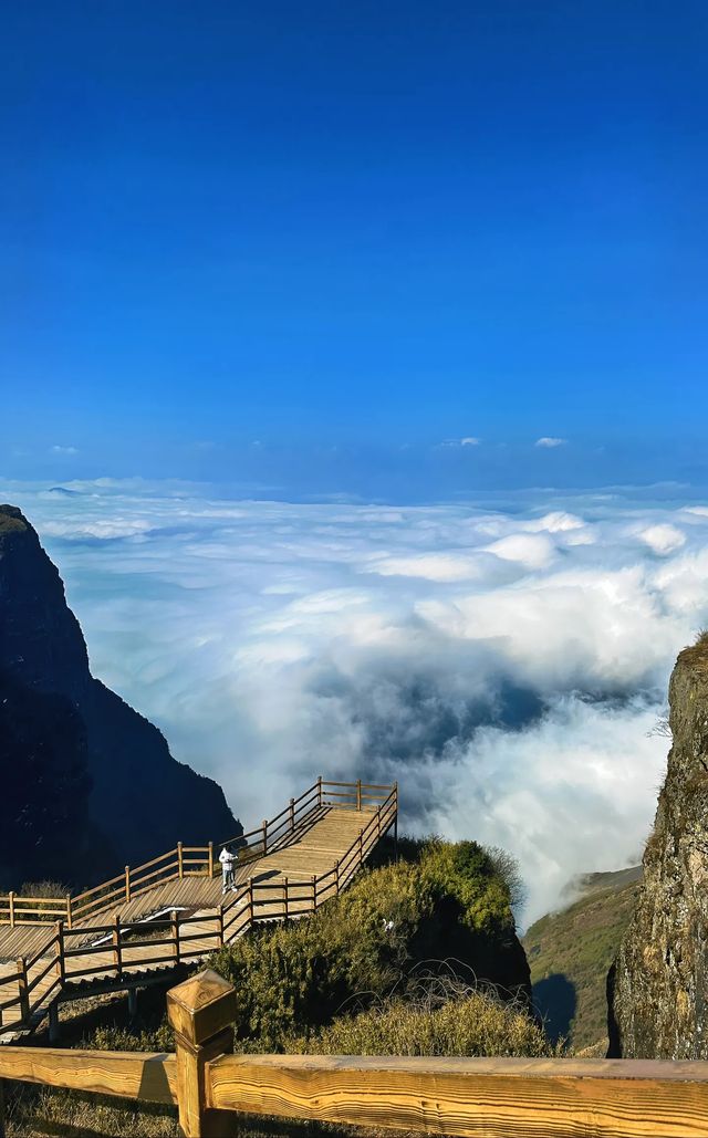 湖北22℃嘅森林秘境似仙俠世界