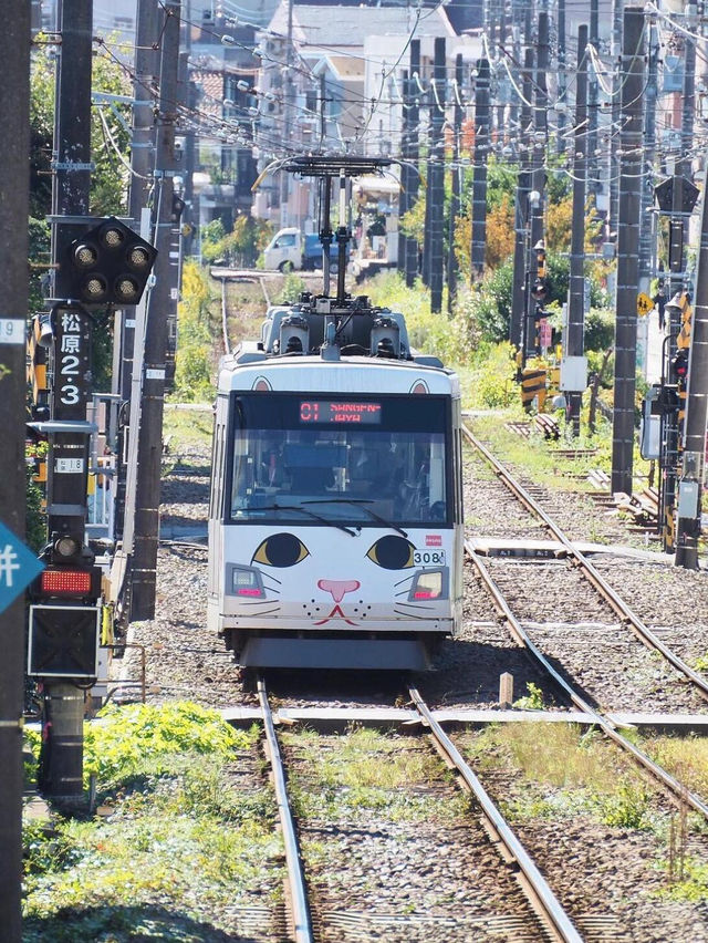 🚃東京必打卡！通往幸福的招財貓電車🚃
