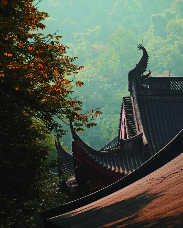 Hangzhou Xizi Lake Four Seasons – Living in the "Four Seasons" of West Lake