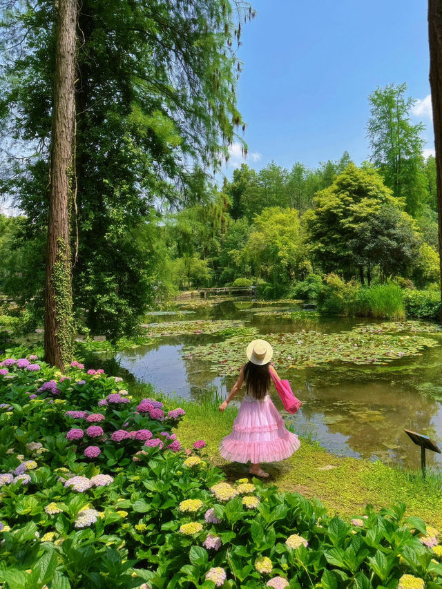 救命！！在武漢誤闖愛麗絲仙境花園💐實況live美到窒息😭