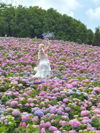 救命！紹興竟藏著這神仙級無盡夏花海🌸 一秒跌入童話世界！
