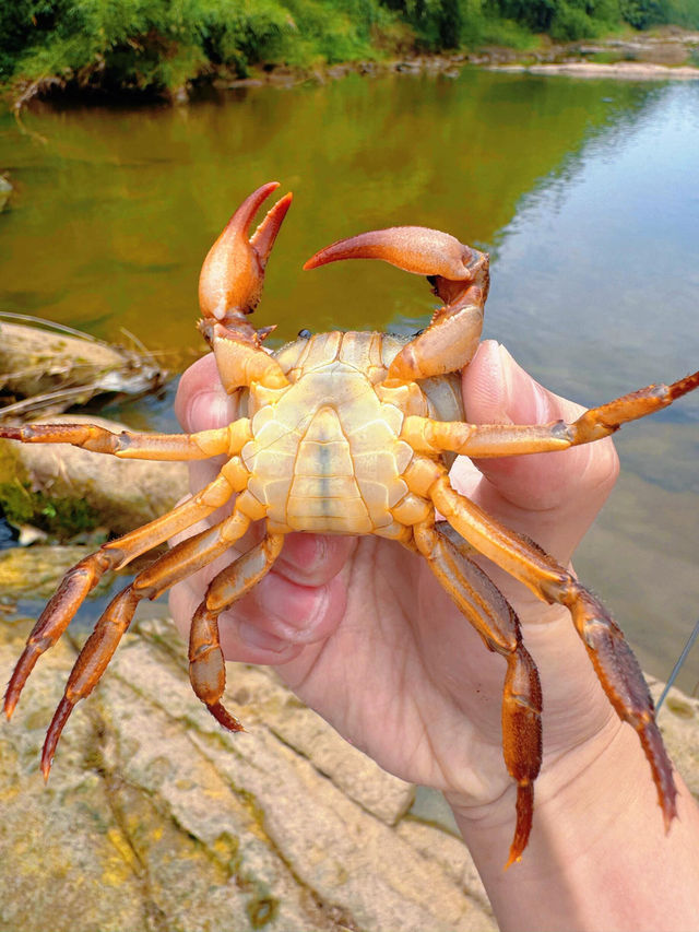 六一遊玩必去—瀏陽。玩水撈魚