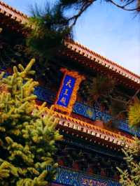 長春萬壽寺︳端午粽情祈福